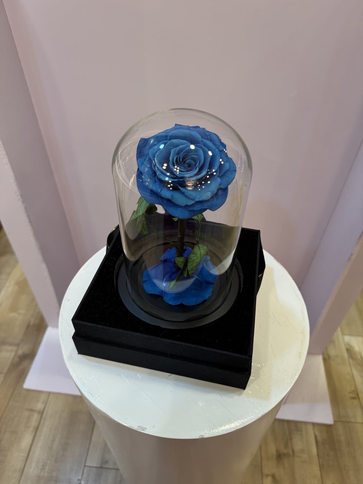 Forever Rose Glass Dome — Royal Blue