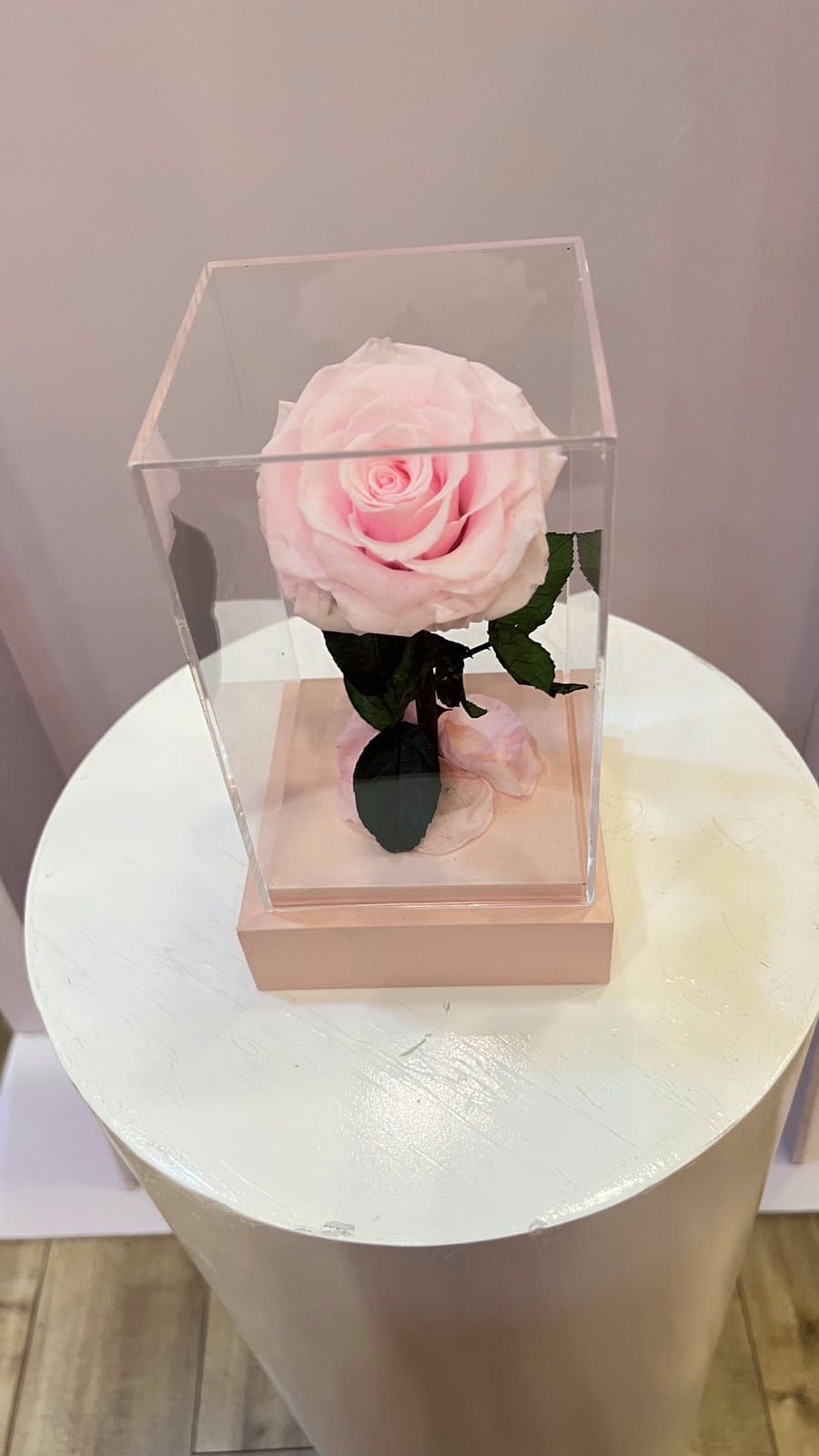 Forever Rose Acrylic Cube — Pink