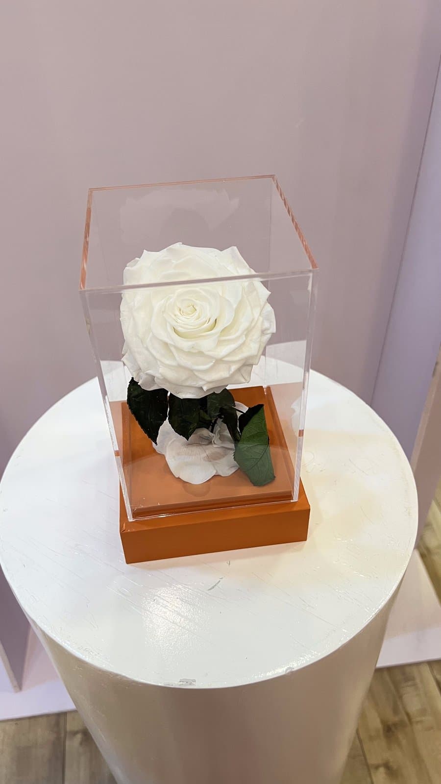 Forever Rose Acrylic Cube — White