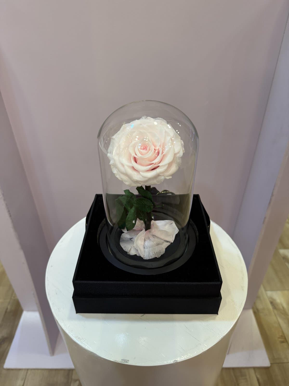 Forever Rose Glass Dome — Pink