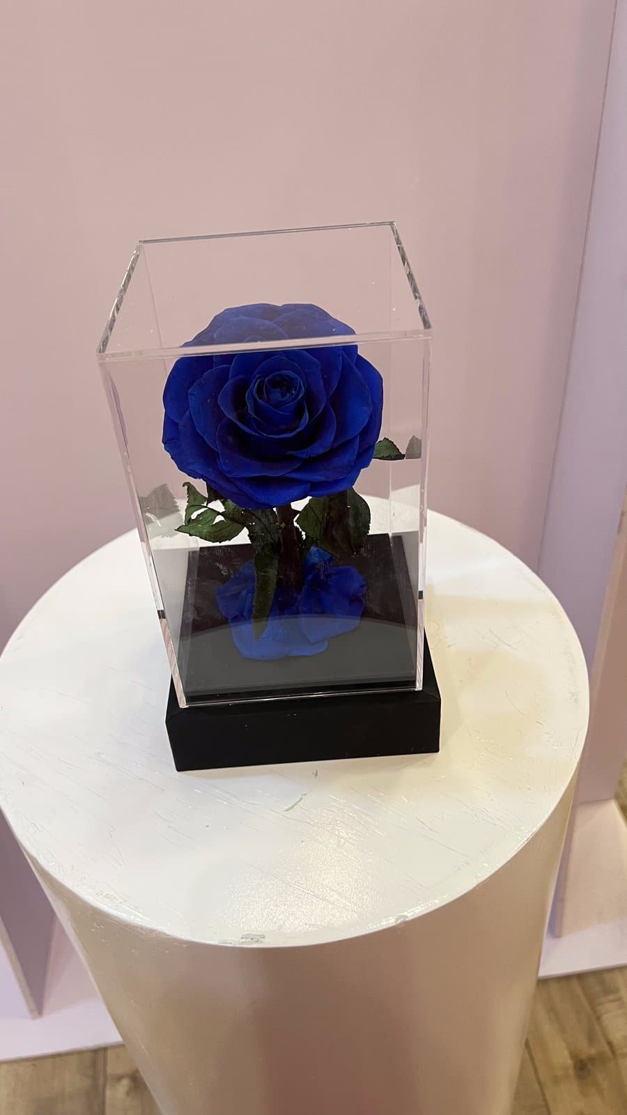 Forever Rose Acrylic Cube — Royal Blue