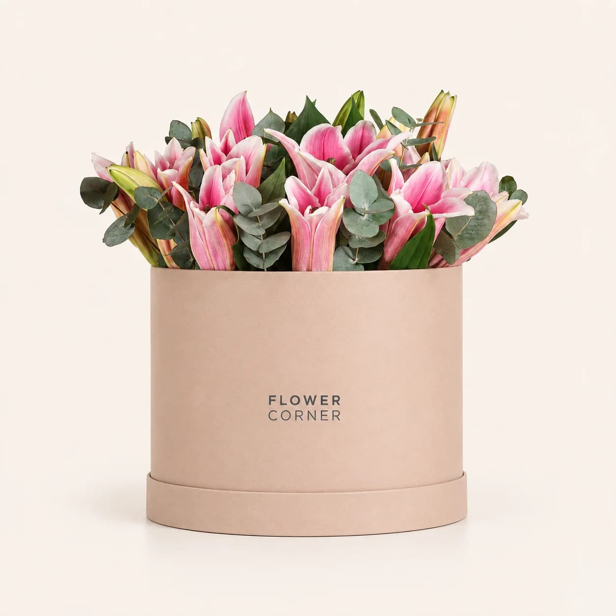 Lily Box Large — Pink / Nude