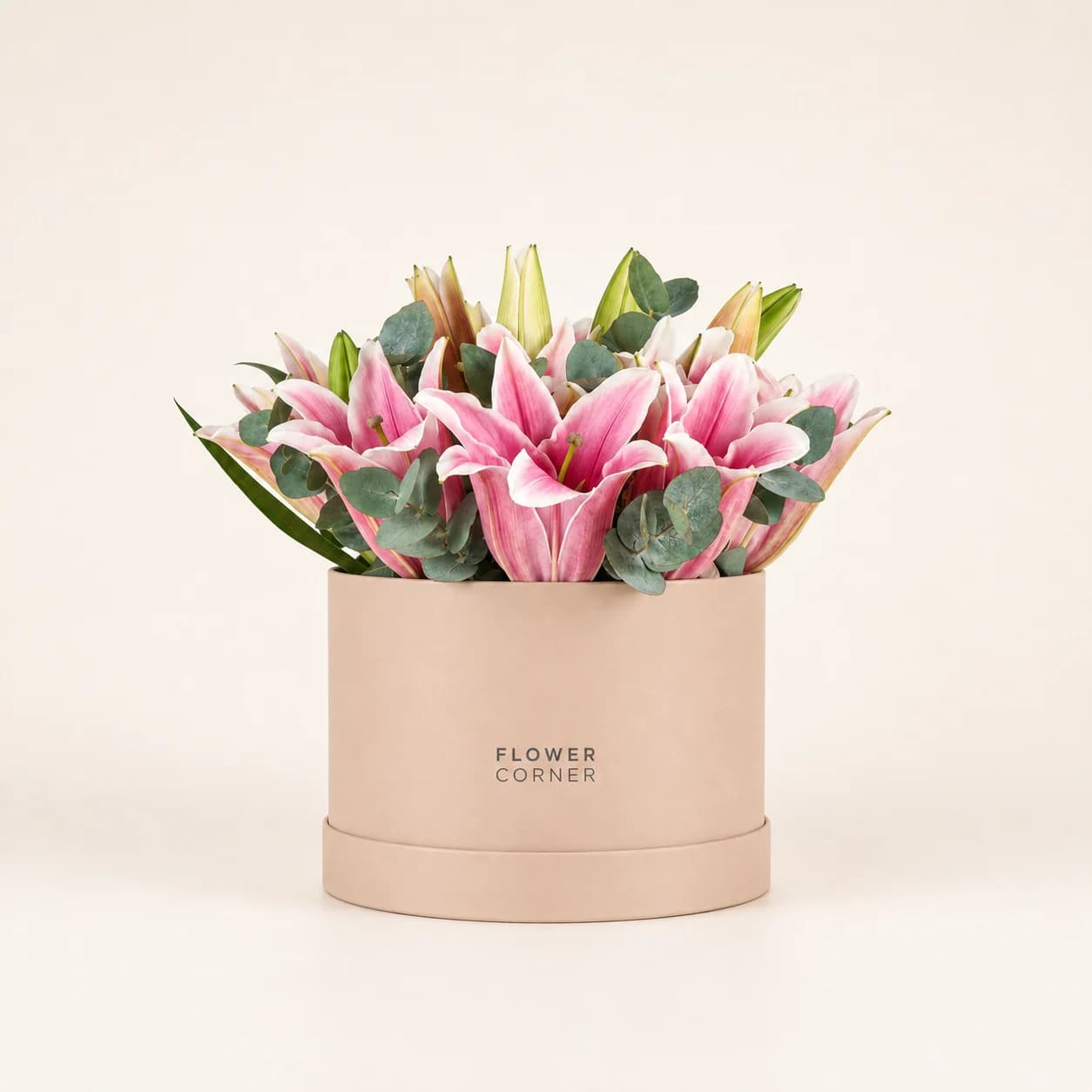 Lily Box Medium — Pink / Nude