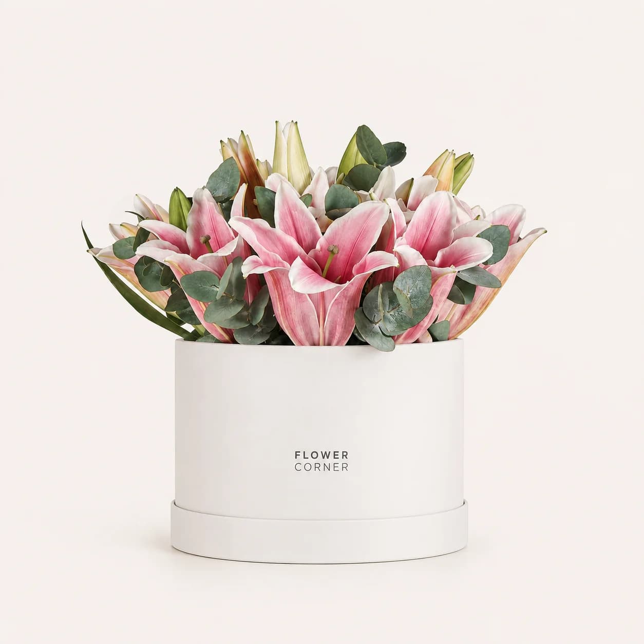 Lily Box Medium — Pink / White