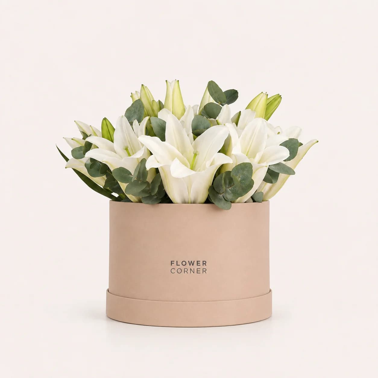 Lily Box Medium — White / Nude
