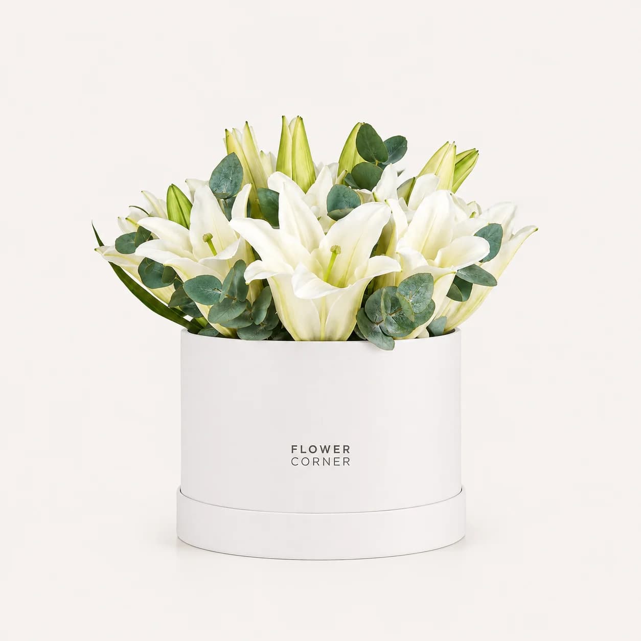 Lily Box Medium — White / White