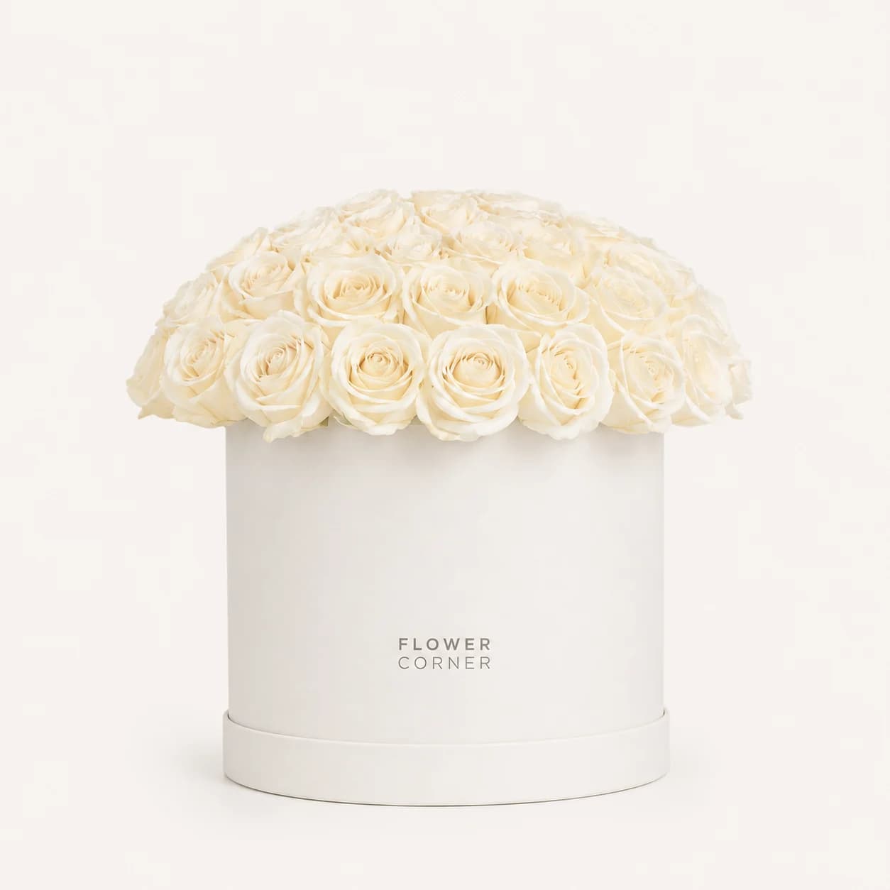 Rose Box Medium — White / White