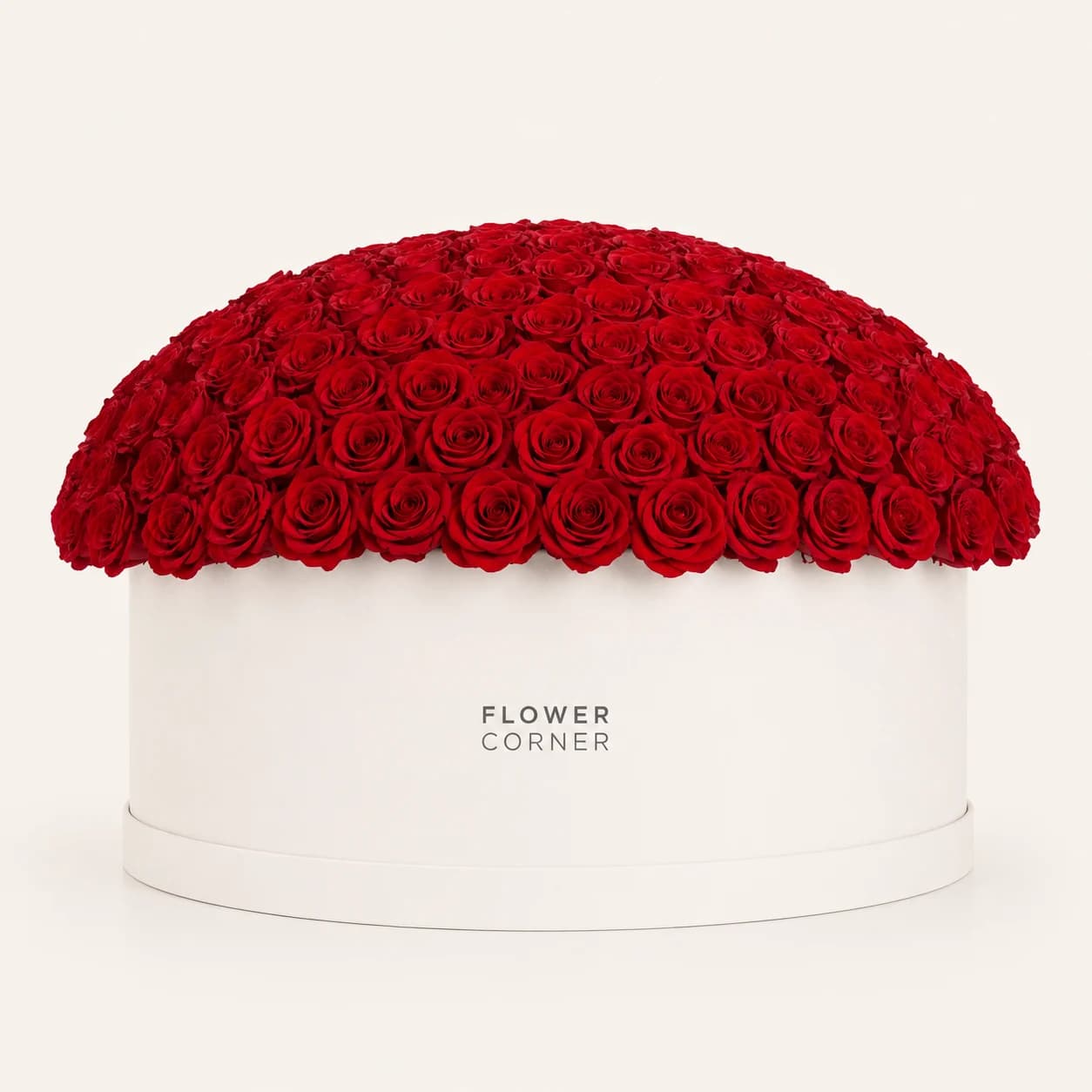 Rose Box X-Large — Red / White
