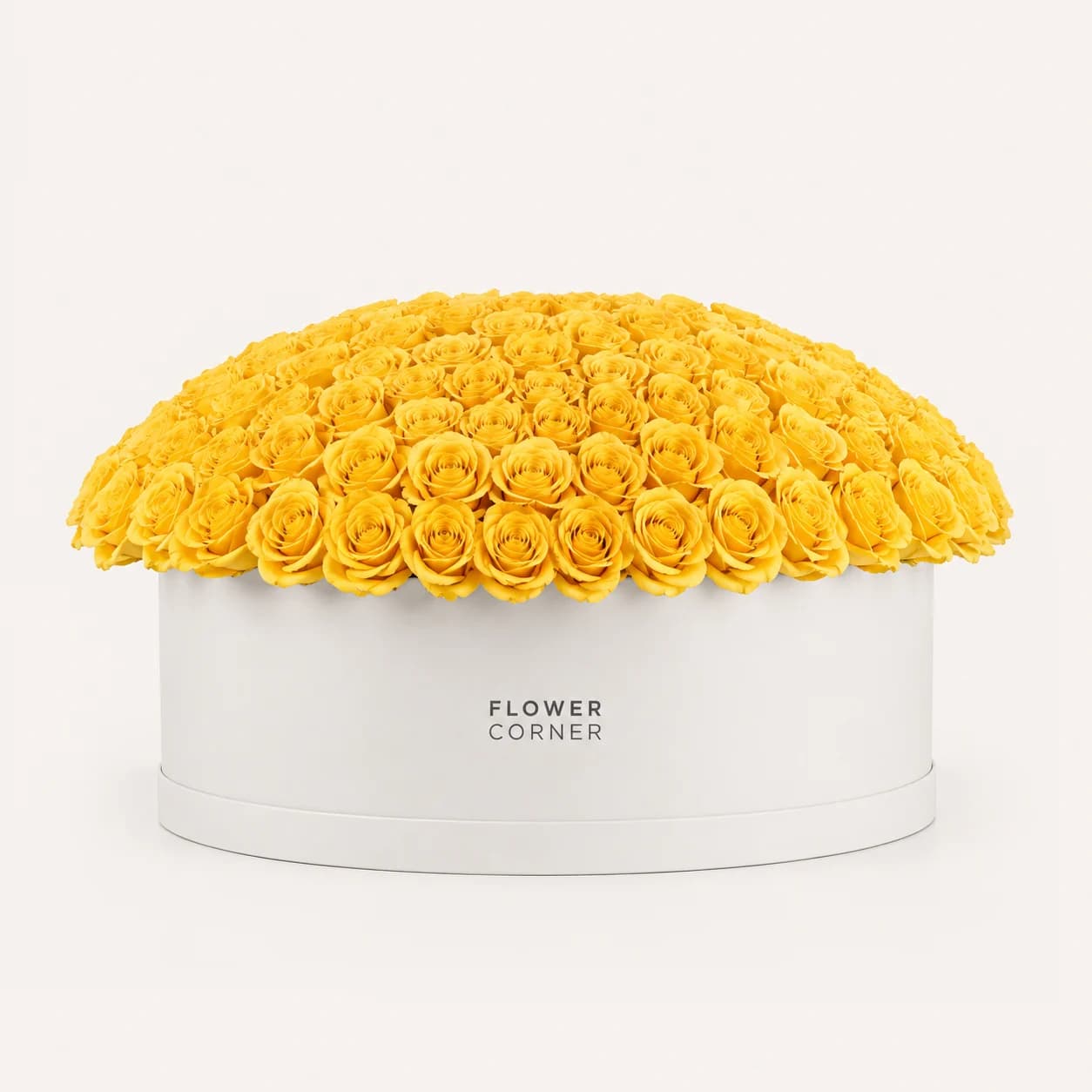 Rose Box X-Large — Yellow / White