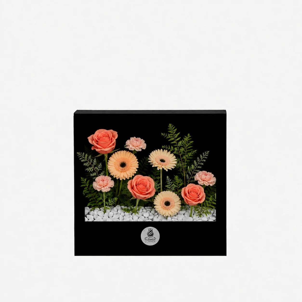 Coral Apricot Window