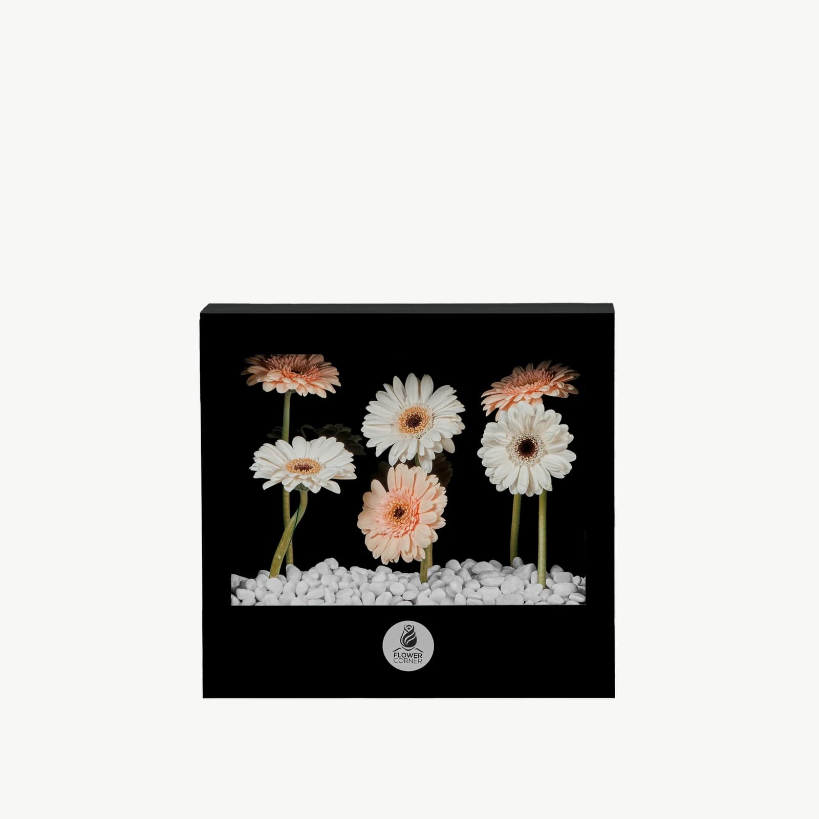 Peach Gerbera Window