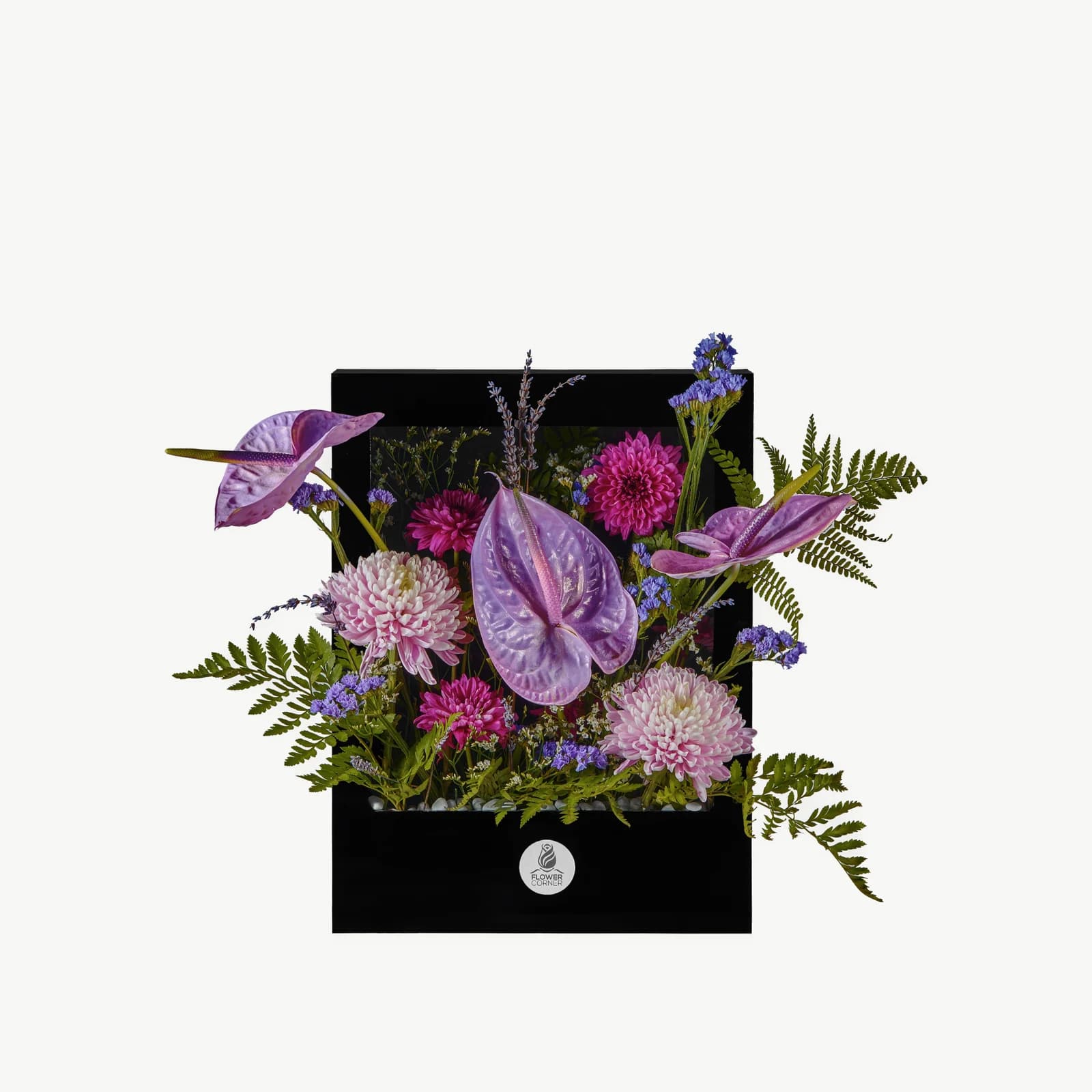 Purple Anthurium Window