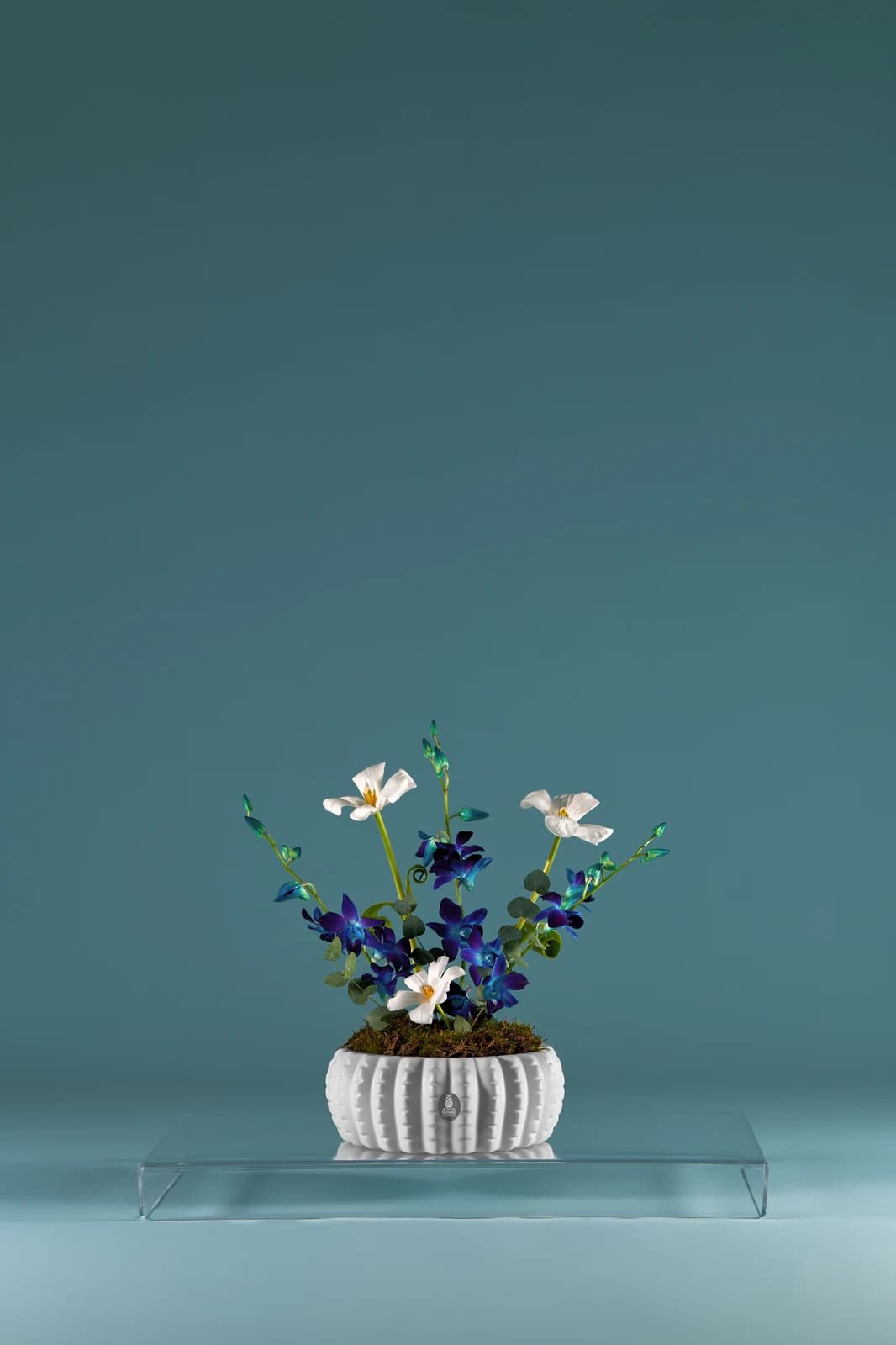 Blue and white flower study, view 1
