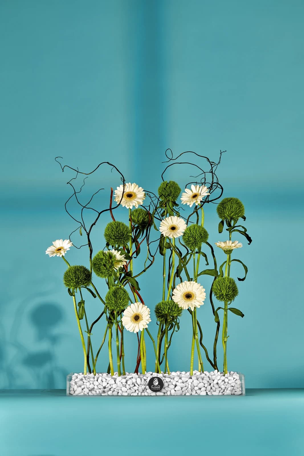 Daisy glass garden, view 1