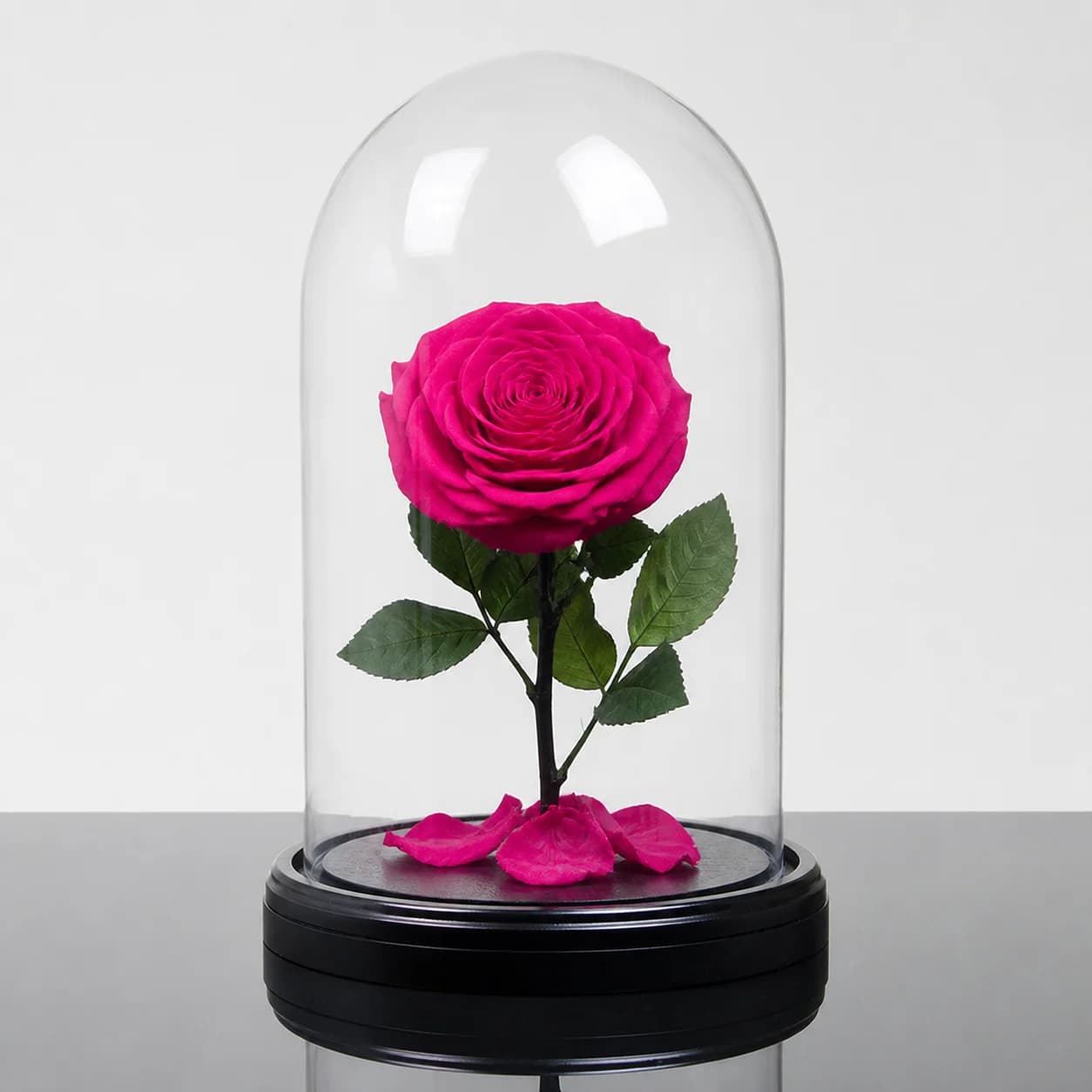 Forever Rose — Fuchsia / Round