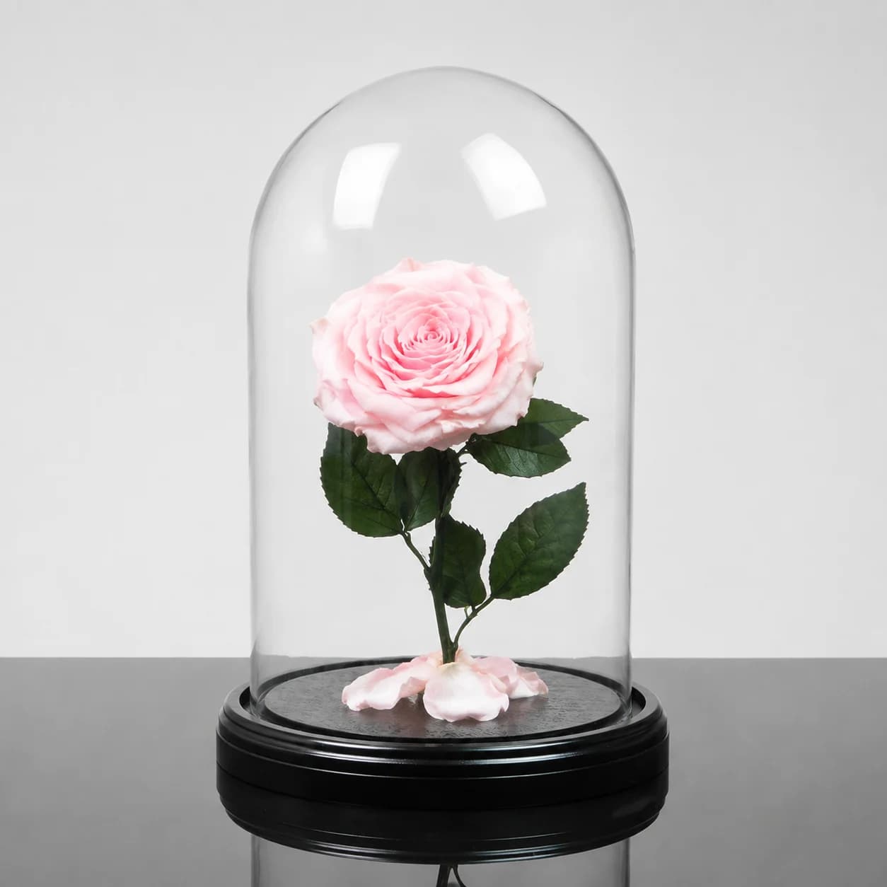 Forever Rose — Pale pink / Round