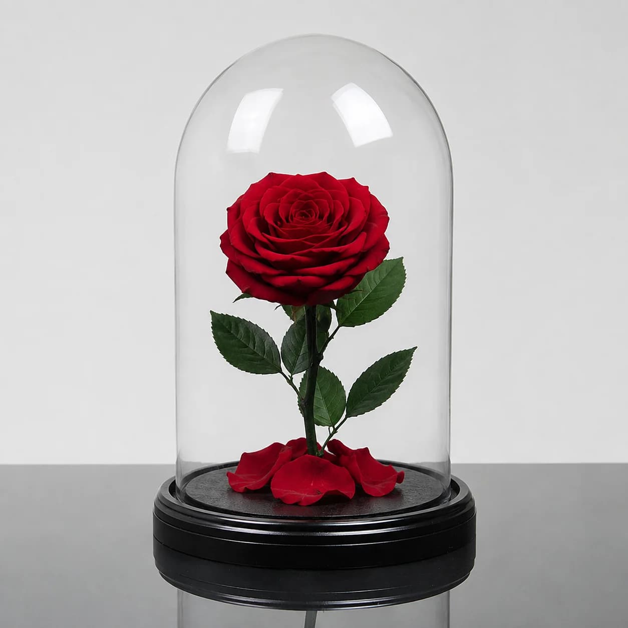 Forever Rose — Red / Round