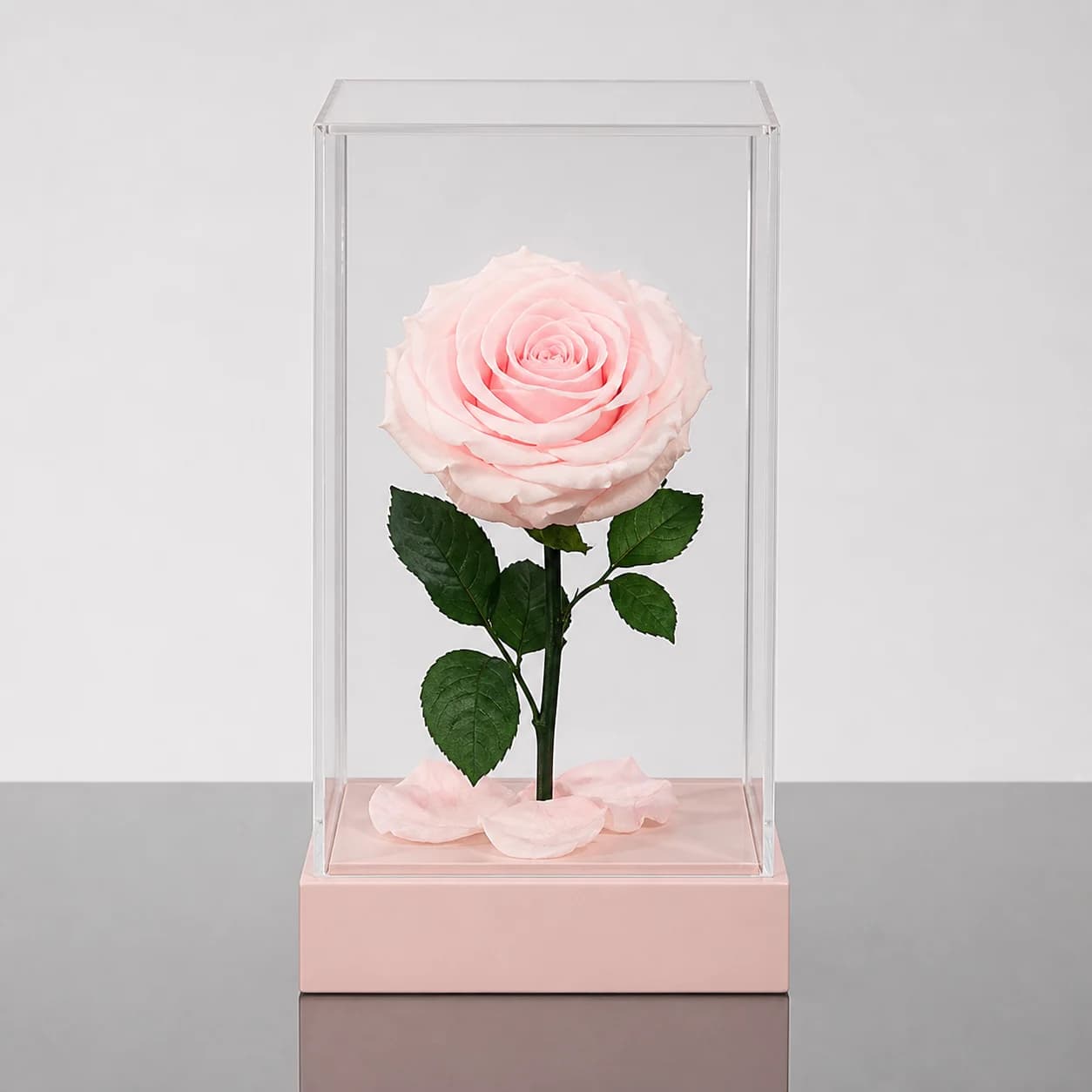 Forever Rose — Pale pink / Square