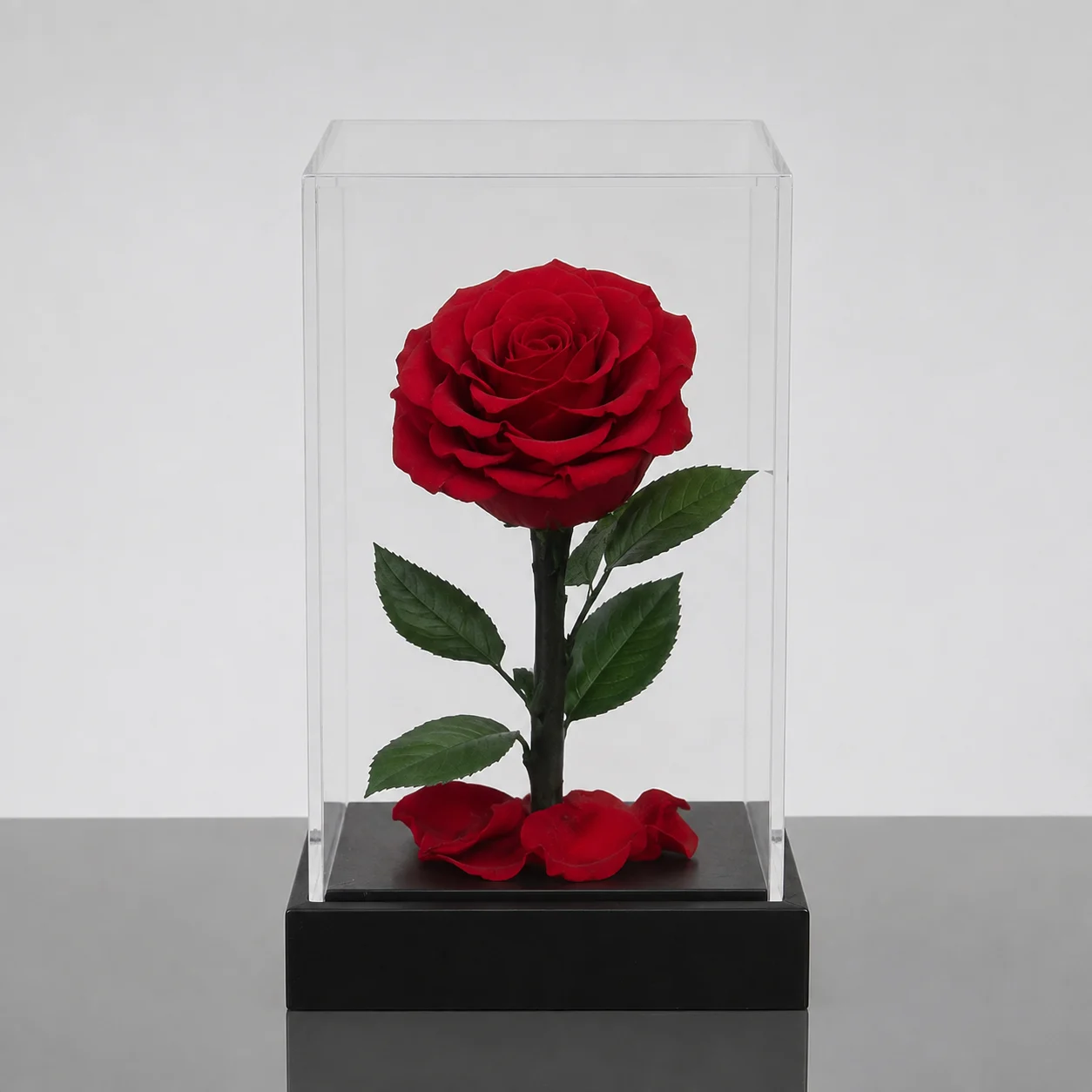Forever Rose — Red / Square