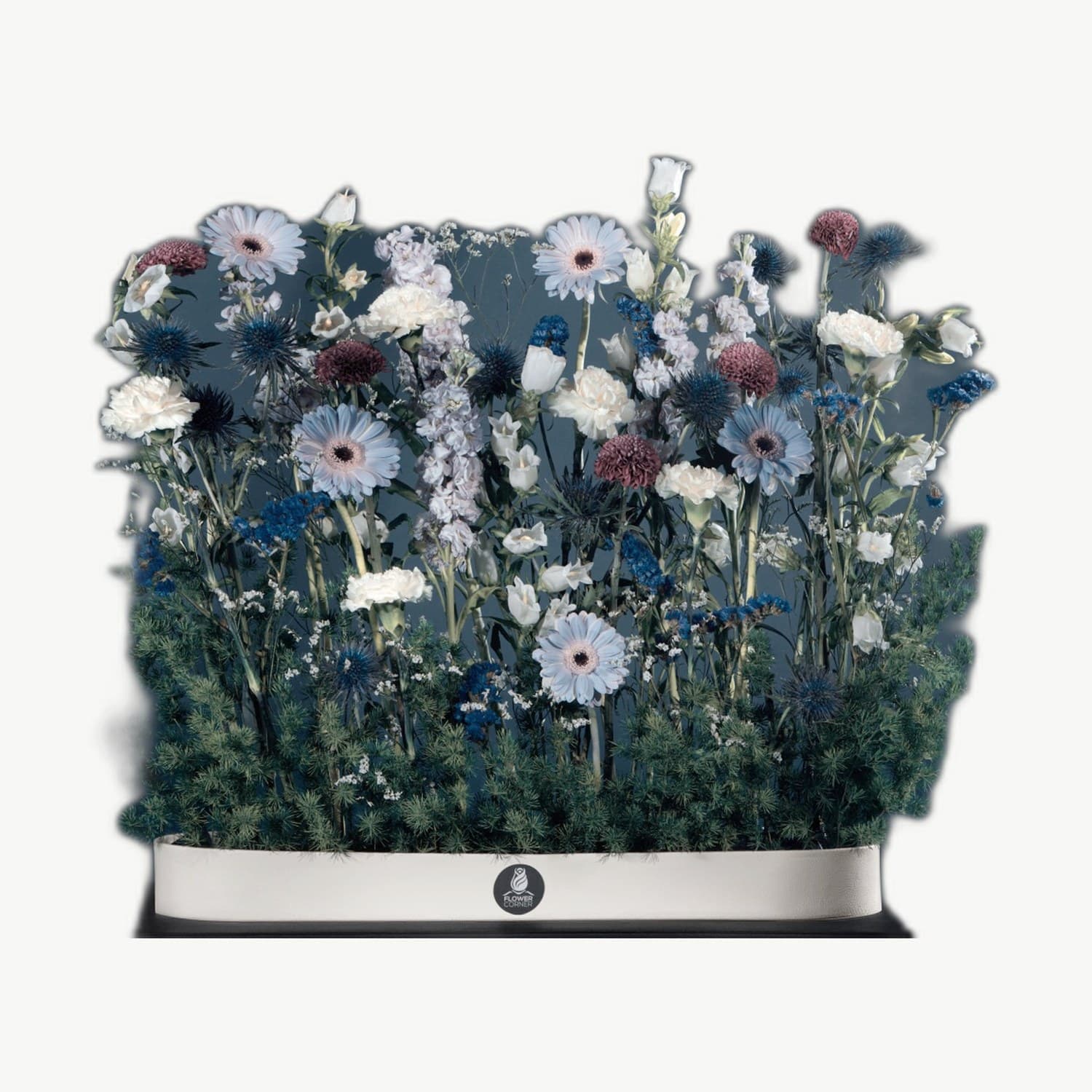 Flower Boxes