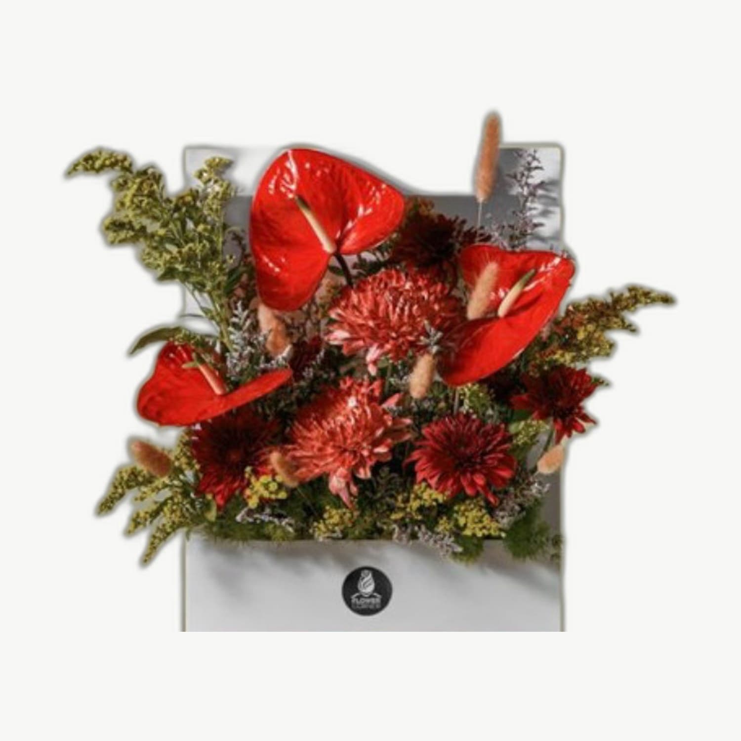 Red Anthurium Box
