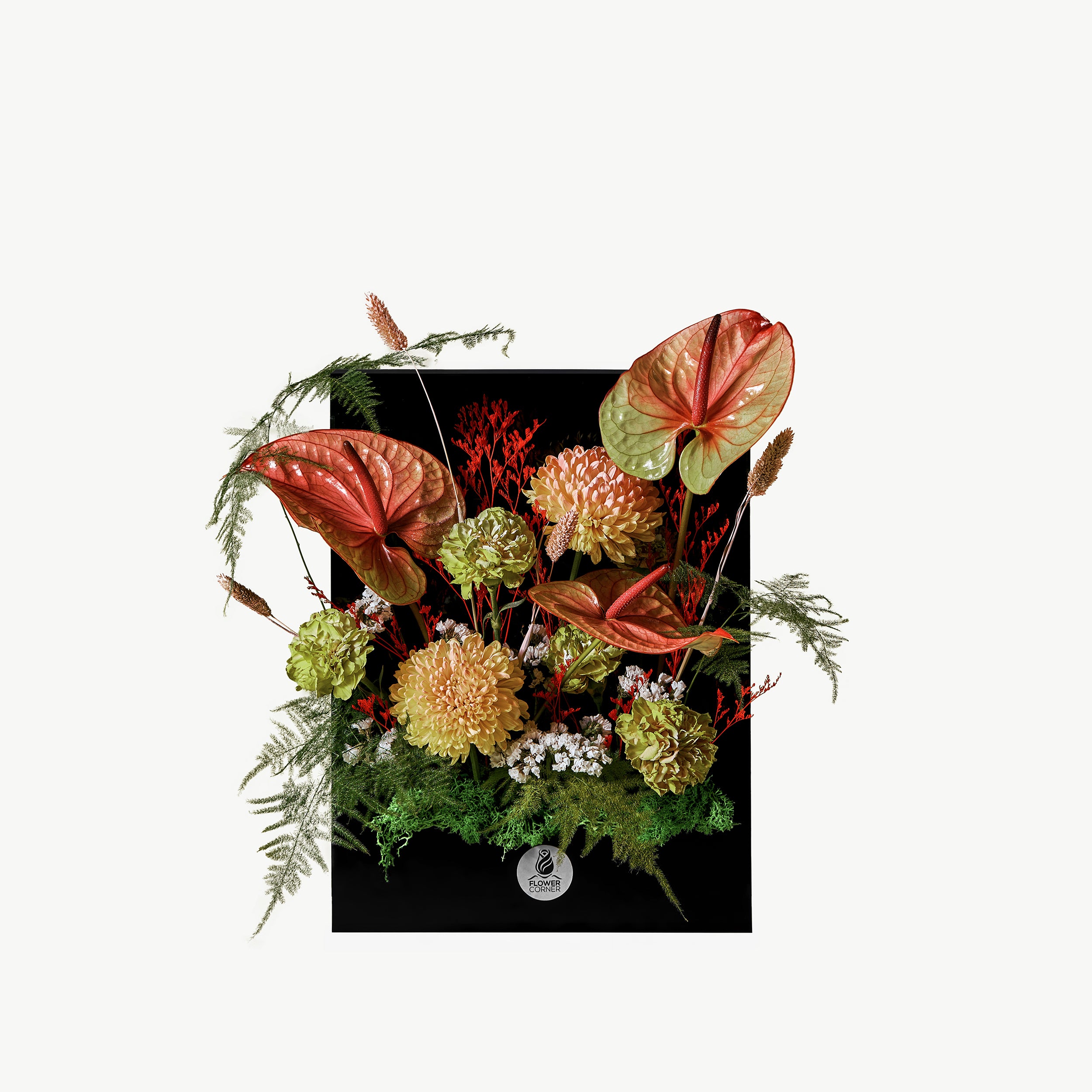 Autumn Love Bloom Window with tequila  anthuriums, green carnations, and dried moss in acrylic window box