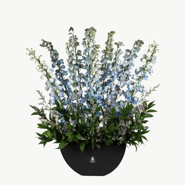 Blue sky Flower Arrangement