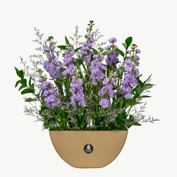 Purple Mathiola Flower Arrangement